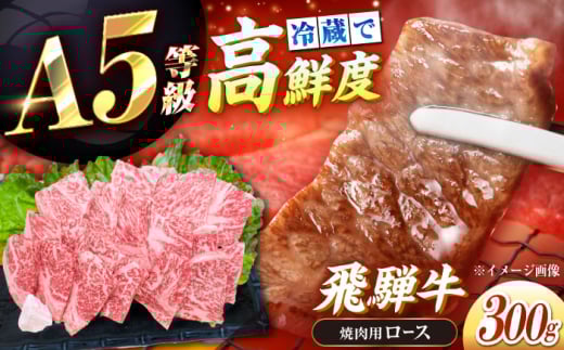 【チルド（冷蔵）発送！】 「飛騨牛」 A5等級 ロース 300g / 牛肉 焼肉 鉄板焼き 網焼き BBQ / 恵那市 / 東美濃農業協同組合 [AUFX007]