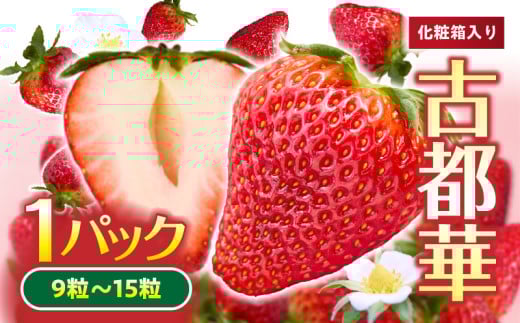 【2026年1月～3月上旬発送】「古都華」化粧箱入りいちご 甘みと酸味のバランスが抜群 古都華 いちご 1パック 9~15粒 化粧箱 生駒いちご園 果物 フルーツ デザート 贈り物 お取り寄せ お取り寄せフルーツ 奈良県 生駒市 送料無料