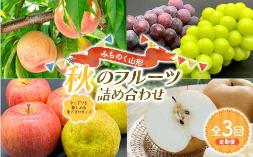 みちのく山形 1回に2品種お届け 秋のフルーツ詰め合わせ 少しずつを楽しめる食べきりサイズ定期便 FSY-2237
