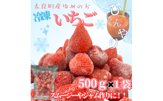 訳あり！太良町産「ゆめのか」冷凍いちご500ｇ×１袋 佐賀県 太良町 LB21