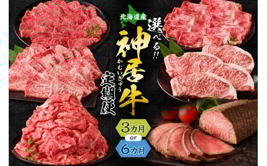 [選べる定期便回数!]あなたは"厳選"?それとも"満喫"?佐藤さんちの神居牛 特別な日の食卓に ステーキ ローストビーフ !BBQにぴったり焼肉用 カルビも!