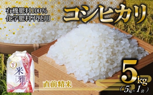 【新米先行予約】令和７年産 新米 コシヒカリ 5kg 白米【9月下旬～順次発送】精米 直前精米 新米 化学肥料不使用 有機米 お米 こめ コメ こしひかり 人気 兵庫県産 精米（18-22）
