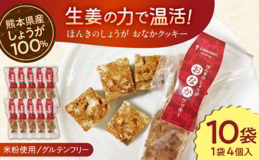 【お中元対象】ほんきのしょうが おなかクッキー10袋セット【ジンジベル】 [AYAD008]