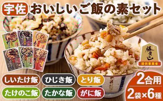 宇佐おいしいご飯の素セット(6種×各2袋)ご飯の素 混ぜご飯 簡単 時短 おにぎり お弁当 郷土料理 食べ比べ セット 勝負めし【102200201】【観光館　文福】 305539 - 大分県宇佐市