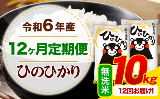 【12ヶ月定期便】令和6年産 無洗米 ひのひかり 定期便 10kg《お申込み月の翌月から出荷開始》令和6年産 熊本県産 ふるさと納税 精米 ひの 米 こめ ふるさとのうぜい ヒノヒカリ コメ お米