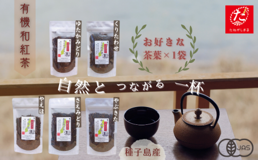 【たねがしまる4000】種子島 の 選べる  有機 和紅茶 茶葉 （リーフ）１種  NFN936【100pt】