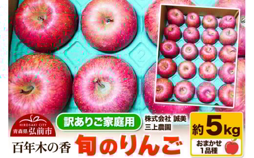 りんご【先行受付】【訳あり】家庭用 百年木の香 三上農園 旬のりんご 約5kg 品種おまかせ1品種 684481 - 青森県弘前市