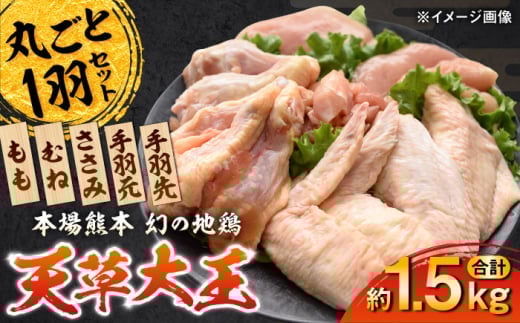 天草大王 1羽まるごとセット 計約1.5kg 【一般社団法人クラッシーノこうし】 [AYAB011] 2131777 - 熊本県合志市