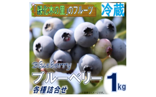 ＜先行予約/冷蔵＞ブルーベリー1kg(各種詰合せ)【1608646】