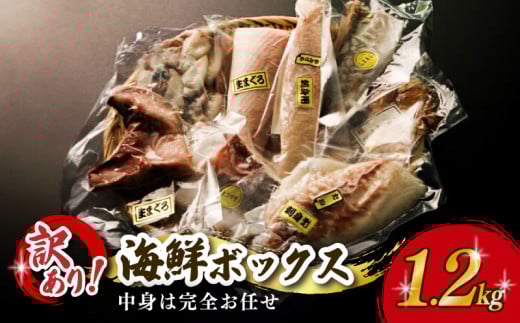 【冷凍】訳あり 海鮮 ボックス 1.2kg セット 冷凍 真空パック おまかせ マグロ まぐろ 鮪 生まぐろ 鯛 たい かんぱち 勘八 シマアジ ヒラマサ 平昌 新鮮 魚 魚介 海鮮 海産物 海 特産品 海の幸 産地直送 国産 三重県 南伊勢 伊勢 志摩 城水産 10000円 一万円