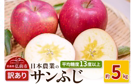 りんご 【先行受付】平均糖度13度以上！ サンふじ 約5kg 訳あり 2132120 - 青森県弘前市