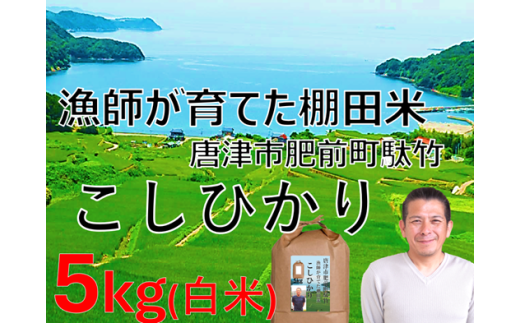漁師「睦丸」がつくった棚田米 こしひかり(白米)5kg