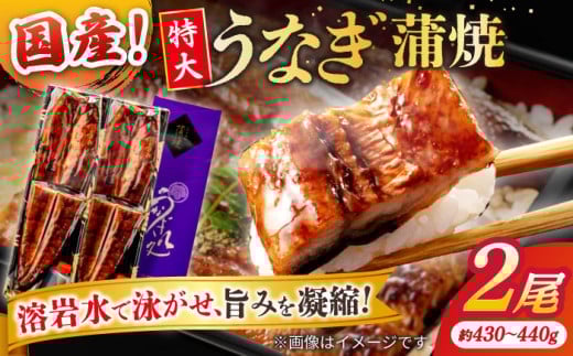 うなぎ老舗専門店のパリっとふっくら国産うなぎ 蒲焼2尾(蒲焼のタレ付き) 島根県松江市/株式会社山美世商会 [ALDC001]｜国産 うなぎ ウナギ 鰻 特大 蒲焼き 蒲焼 国産 冷凍 うな重 ひつまぶし 丑の日 土用の丑の日 人気 2132336 - 島根県松江市