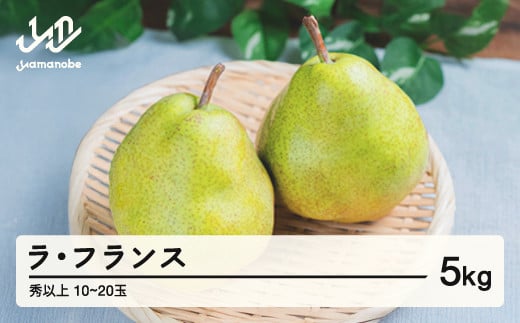 《先行予約》2025年 山形県産 西洋梨（ラ･フランス）約5kg･秀以上（10～20玉）2025年11月上旬頃順次発送 果物 くだもの フルーツ 秋果実 ラフランス F20A-073 364455 - 山形県山辺町