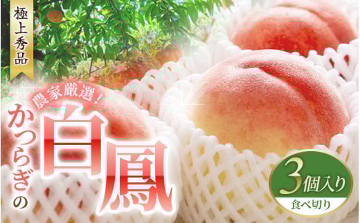 [6月20日までの受付!] 桃の王様 白鳳 [特秀品] うれしい食べきり容量 3玉 ※2025年6月末頃〜2025年7月末頃に順次発送予定(お届け日指定不可)/ 桃 もも モモ 白鳳 フルーツ 果物 くだもの 旬 人気 産地直送 甘い [kgr010]