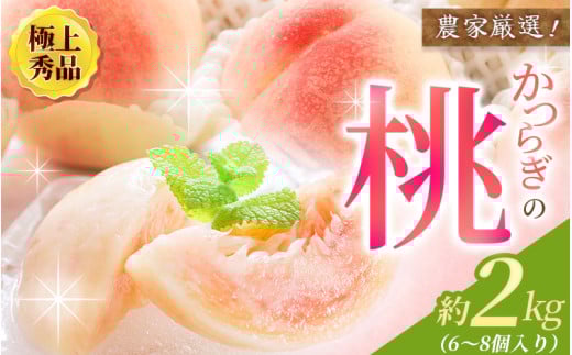 [6月20日までの受付!]厳選 あふれる果汁で口いっぱい! 和歌山県産 桃 約2kg(6個~9個) ※2025年6月末頃〜2025年8月末頃に順次発送予定(お届け日指定不可)/ 桃 もも モモ フルーツ 果物 くだもの 白鳳 なつっこ 白桃 川中島白桃 旬 人気 産地直送 甘い [kgr001]