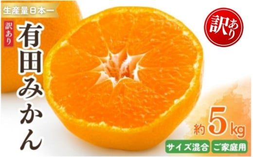 紀州有田みかん 訳あり 約5kg キズ ご家庭用 サイズ混合 ※2025年11月下旬〜2026年1月中旬頃より順次発送予定 ※北海道・沖縄・離島配送不可 | みかん ミカン 蜜柑 フルーツ 果物 くだもの 訳ありみかん 家庭用 旬 産地直送 予約[sml130A]