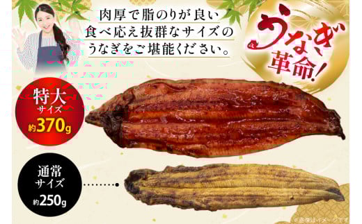 アイテムID:423058の画像5枚目