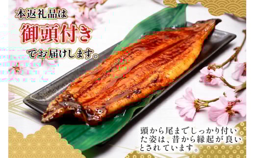 アイテムID:423058の画像8枚目