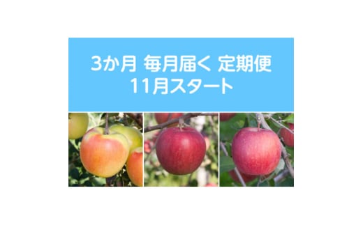 <発送月固定定期便>〈2025年11月より順次発送〉甘味系・青森県産りんご約5kg 全3回【4051695】 1404890 - 青森県黒石市