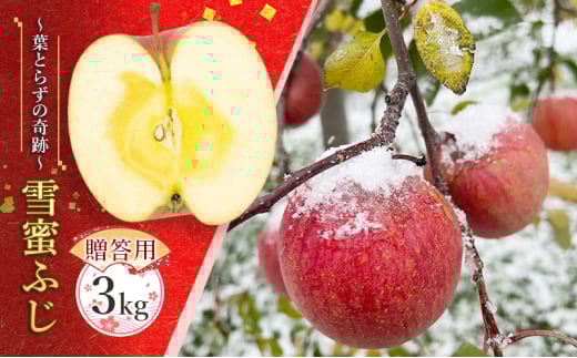 【贈答用】雪蜜ふじ～葉とらずの奇跡～約3kg【青森りんご・マルコウアップル】果物類 フルーツ 林檎 リンゴ 板柳町 青森県 おやつ デザート 2133550 - 青森県板柳町