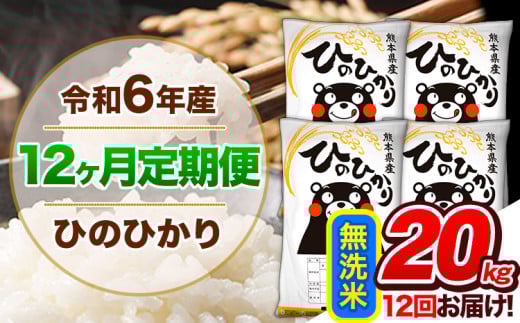 【12ヶ月定期便】令和6年産 定期便 無洗米 ひのひかり20kg 《申込み翌月から発送》令和6年産 熊本県産 ふるさと納税 精米 ひの 米 こめ ふるさとのうぜい ヒノヒカリ コメ 熊本米 1569340 - 熊本県玉東町