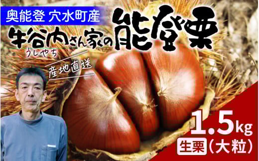 【先行予約】牛谷内農園の能登栗（大粒）1.5kg ～低温熟成させたあま～い能登栗～【2025年9月末より順次発送】/ 能登半島 奥能登 くり 生栗 マロン 和栗 焼き栗 栗ごはん 焼き栗 国産 果物 718991 - 石川県穴水町