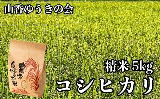 【 令和7年産 新米 先行予約 】山香ゆうきの会の米 5kg（精米：コシヒカリ） 新米 5kg 米 先行予約 先行受付 ＜002-013＞