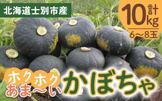 【B7082】北海道士別産 かぼちゃ（計10㎏・6～8玉）【先行予約受付中！9月下旬以降、準備ができ次第順次発送】北海道産 国産 カボチャ 南瓜 野菜 煮物 サラダ 天ぷら 甘い 味覚の秋 【吉方農園】 1388059 - 北海道士別市