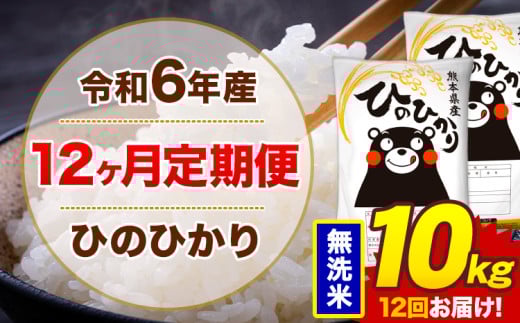 【12ヶ月定期便】令和6年産 無洗米 10kg 米 ひのひかり《お申込み月の翌月から出荷開始》熊本県 菊池市 国産 熊本県産 白米 精米 無洗米 送料無料 ヒノヒカリ こめ お米 