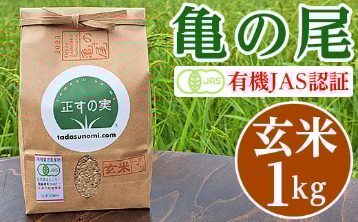 亀の尾 1kg 玄米 有機JAS認証 Oryza Jozucana Satonaya【正すの実】