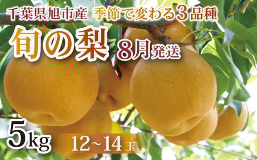 【 先行予約 】【 8月発送 】旬の梨 約5kg 幸水 豊水 あきづき 12 ～ 14玉 梨 なし 梨産地 甘い 旬 夏果物 2025年発送 先行予約 果肉 しゃりしゃり 水水しい みずみずしい 糖度 くだもの 果物 フルーツ 旬のフルーツ 冷蔵 ふるさと納税 産地 送料無料 千葉県 千葉 旭市 旭市産 まる吉園 mkn003