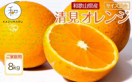 家庭用 森本農園の手選別 清見オレンジ 約8kg 和歌山県産 サイズ混合 ［北海道・沖縄・離島配送不可］［RN48］［2026年2月上旬から5月中旬頃順次発送予定］