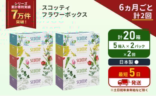 定期便 ティッシュ スコッティ フラワーボックス 20箱 (5箱×2パック)《6ヶ月ごと計2 回》 ティッシュペーパー ティシューペーパーボックスティッシュ ボックスティシュー ティシュペーパー 防災 災害 日用品 生活用品 生活必需品 宮城県 岩沼市 [№5704-1127] 2134331 - 宮城県岩沼市