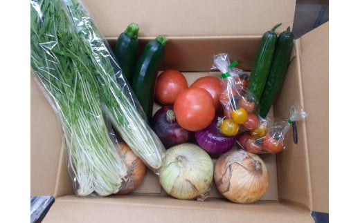 旬のお野菜詰め合わせセット