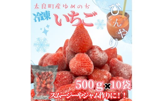 訳あり！太良町産「ゆめのか」冷凍いちご500ｇ×10袋 佐賀県 太良町 PB14