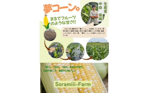 ＜2025年度＞愛知県みよし市産 朝採り「夢コーン。」Lサイズ8本セット 数量限定【1623769】
