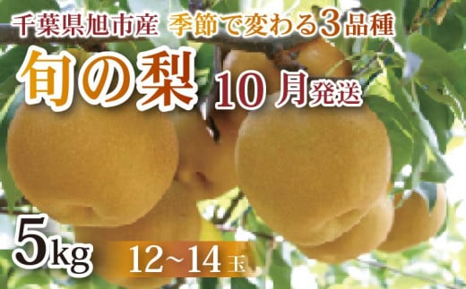【 先行予約 】【 10月発送 】旬の梨 約5kg 幸水 豊水 あきづき 12 ～ 14玉 梨 なし 梨産地 甘い 旬 夏果物 2025年発送 先行予約 果肉 しゃりしゃり 水水しい みずみずしい 糖度 くだもの 果物 フルーツ 旬のフルーツ 冷蔵 ふるさと納税 産地 送料無料 千葉県 千葉 旭市 旭市産 まる吉園 mkn005