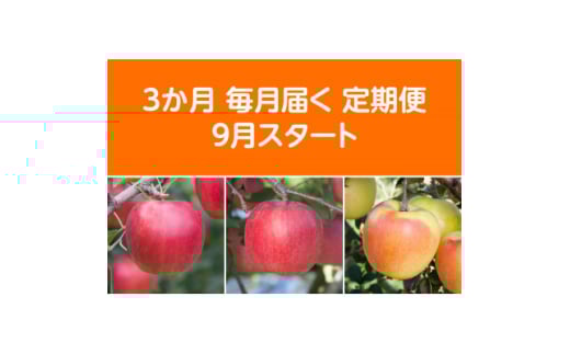 <発送月固定定期便>〈2025年9月より順次発送〉青森県産りんご約5kg 全3回【4051693】 1404888 - 青森県黒石市