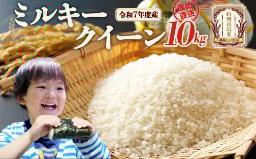 【先行予約】令和7年産雪蔵銀ぴか米 ミルキークイーン(特別栽培米) 10kg（令和7年10月14日以降発送）　【07208-0679】 2161856 - 福島県喜多方市