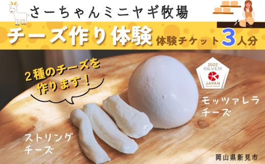 さーちゃんミニヤギ牧場 チーズ作り体験チケット 3人分