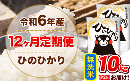 令和6年産【12ヵ月定期便】 無洗米 ひのひかり 定期便 10kg 5kg×2袋《お申込み翌月から出荷開始》 熊本県産 精米 ひの 米 こめ ヒノヒカリ コメ お米  1582161 - 熊本県津奈木町