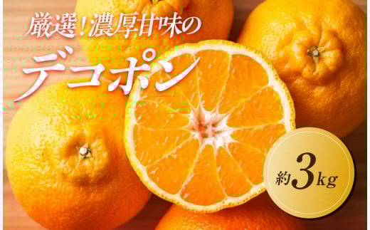 【2026年3月上旬より順次発送】厳選！濃厚甘味の「不知火(しらぬい)」約3kg 1569416 - 香川県高松市