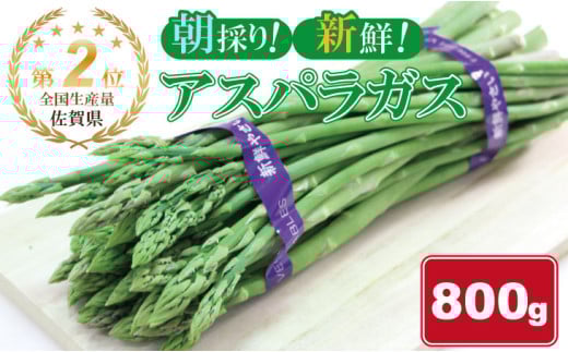 全国生産量 第2位!アスパラガス(800g)新鮮採れたて 農家直送 佐賀県産 957931 - 佐賀県小城市