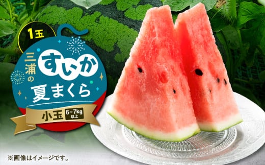 三浦のスイカ「夏まくら」(小玉) M080-005-03