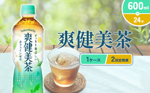 爽健美茶 600ml PET【コカ・コーラ】ペットボトル 1ケース(24本) 定期便 2回(48本) セット お茶 カフェインゼロ ノンカフェイン ハトムギ ブレンド茶 宮崎県 えびの市 送料無料