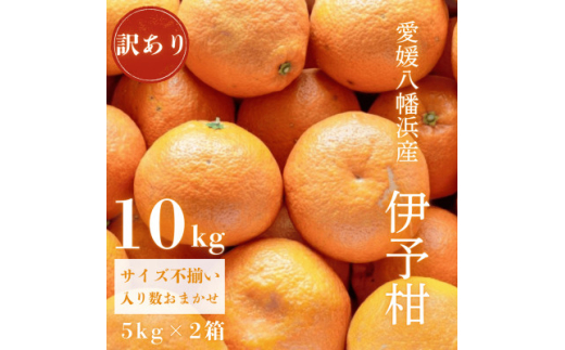 ＜爽やか香りと柔らかジューシーな果肉＞愛媛八幡浜産 訳あり 宮内伊予柑 10kg＜D20-16＞【1094592】