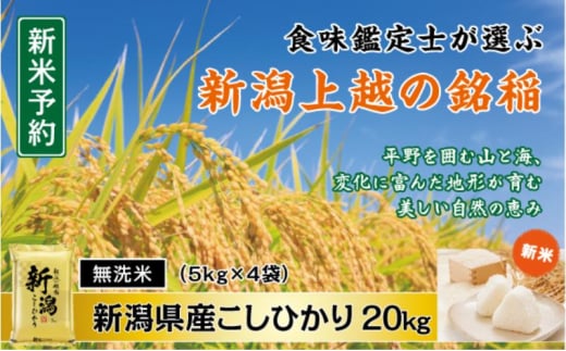 令和7年産 先行予約 食味鑑定士厳選 新潟県産こしひかり 無洗米 20kg 上越市 米 コメ コシヒカリ 2134466 - 新潟県上越市