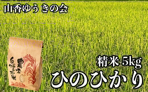 【 令和7年産 新米 先行予約 】山香ゆうきの会の米 5kg（精米：ひのひかり） 新米 5kg 米 先行予約 先行受付 ＜002-004＞ 228630 - 大分県杵築市
