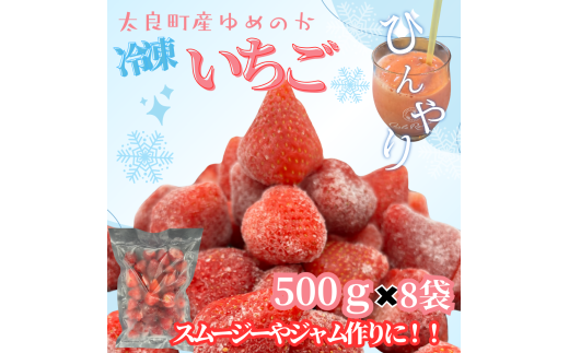 訳あり！太良町産「ゆめのか」冷凍いちご500ｇ×８袋 佐賀県 太良町 OC20